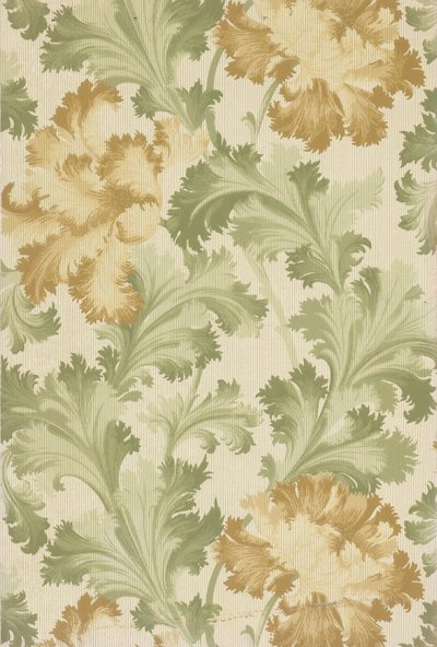 Sidewall by S.A. Maxwell and Co.